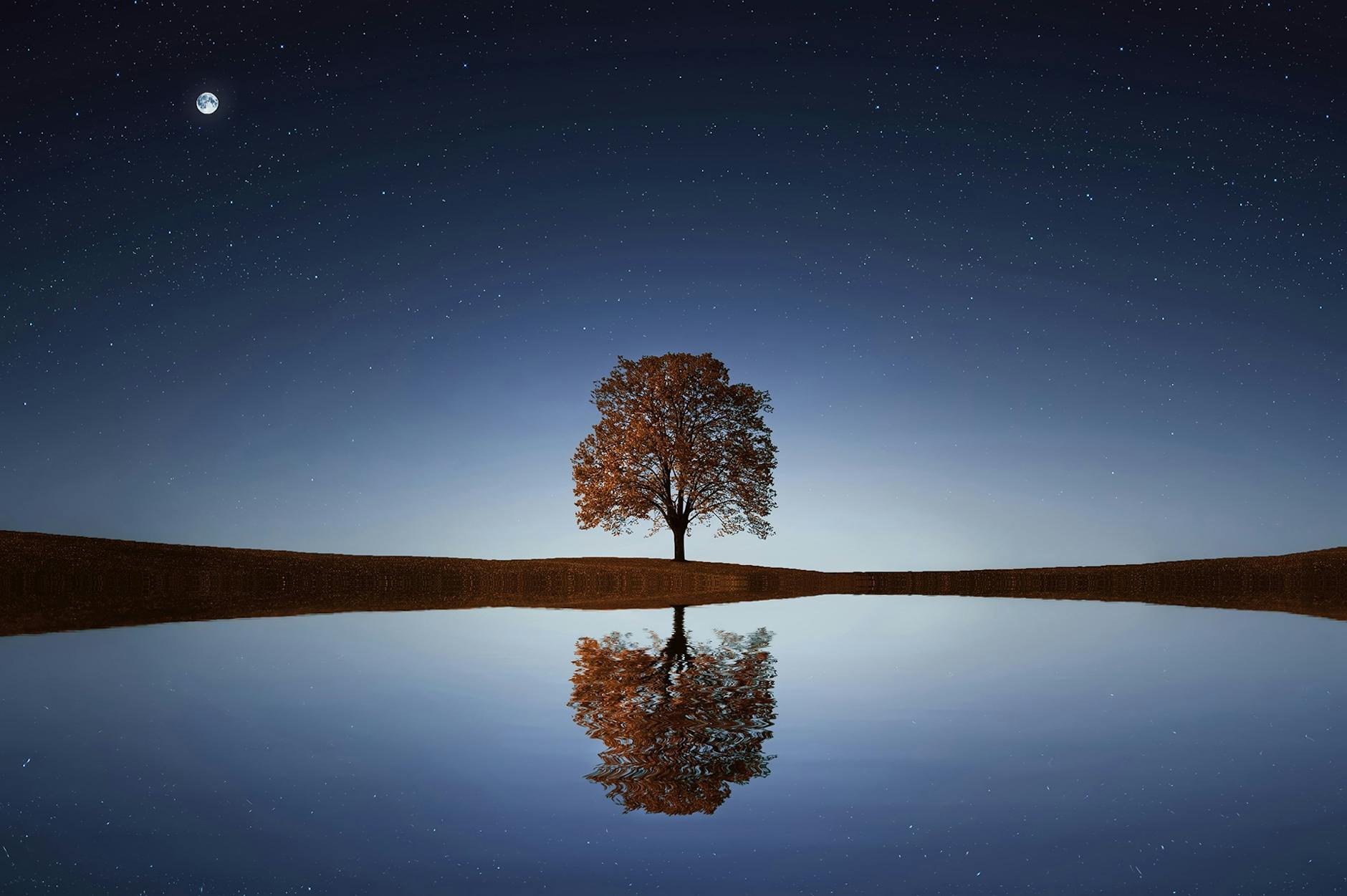 Reflecteren